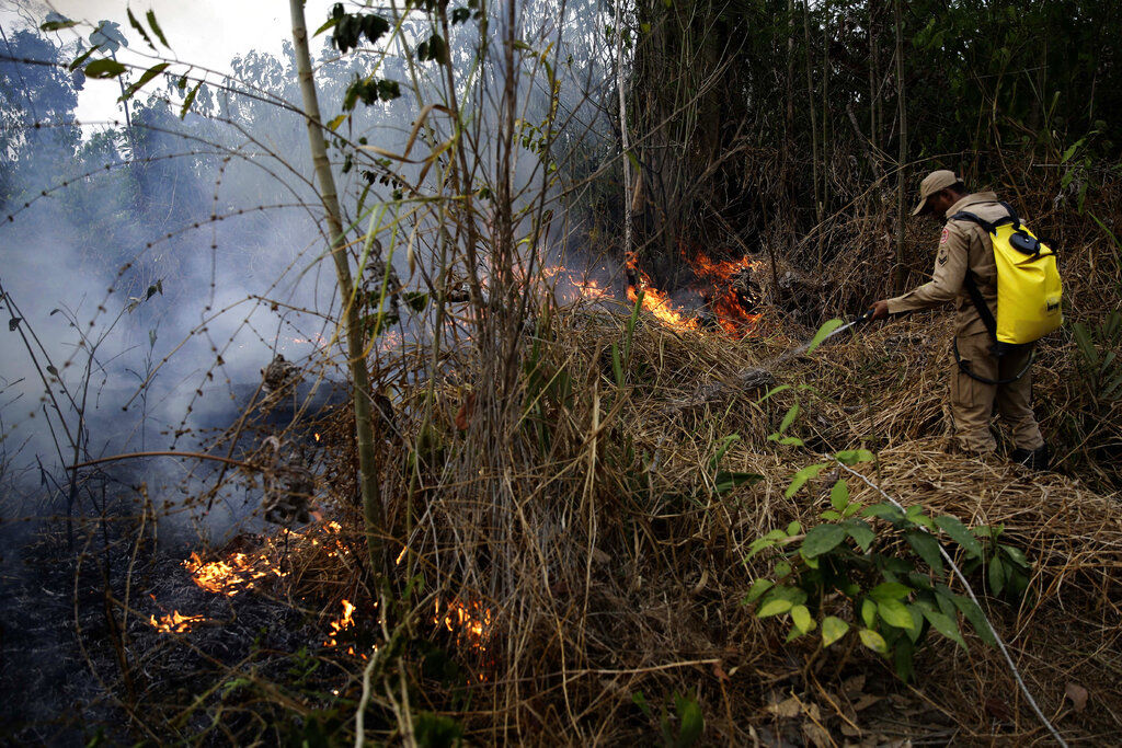 Brazil Amazon Fires